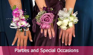 Parties and Special Occasions